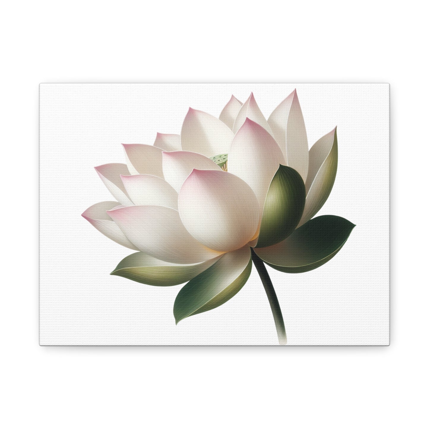 Lotus Flower Canvas Wall Art