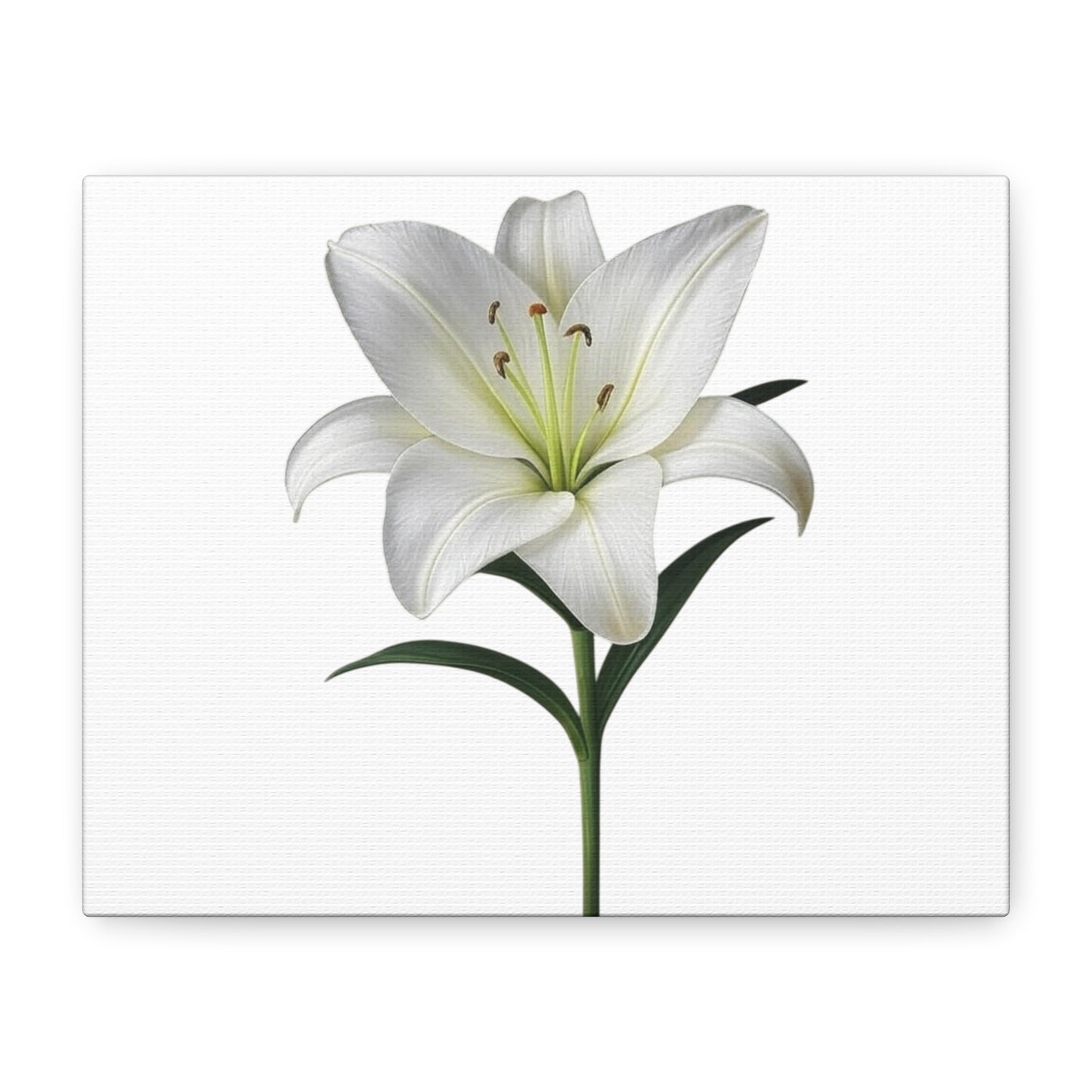 Lily Flower Canvas Wall Art