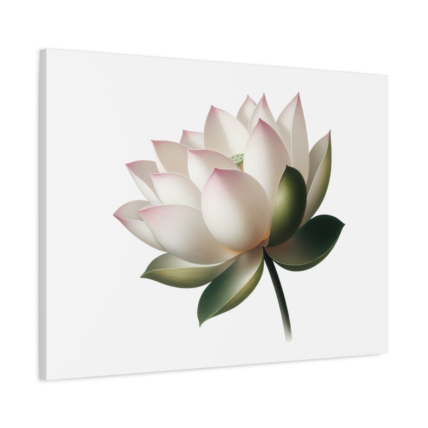 Lotus Flower Canvas Wall Art