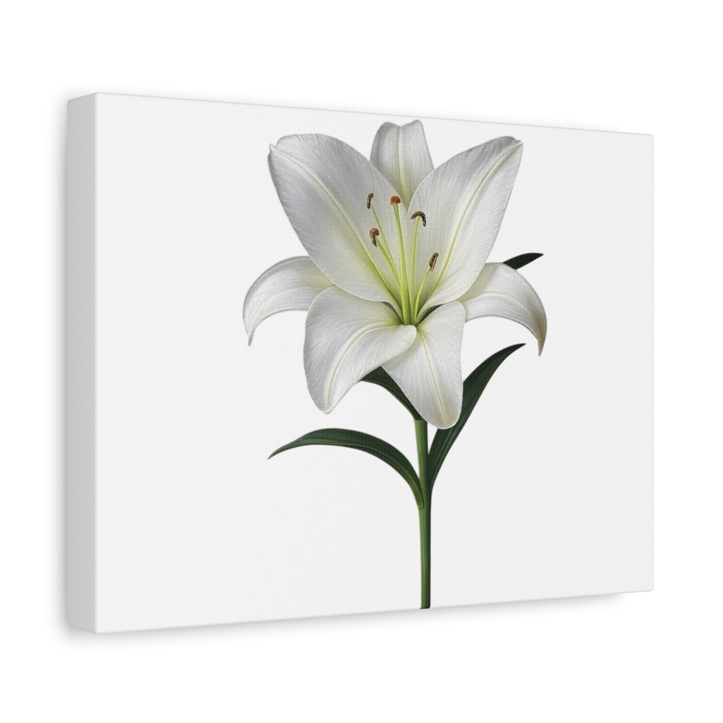 Lily Flower Canvas Wall Art
