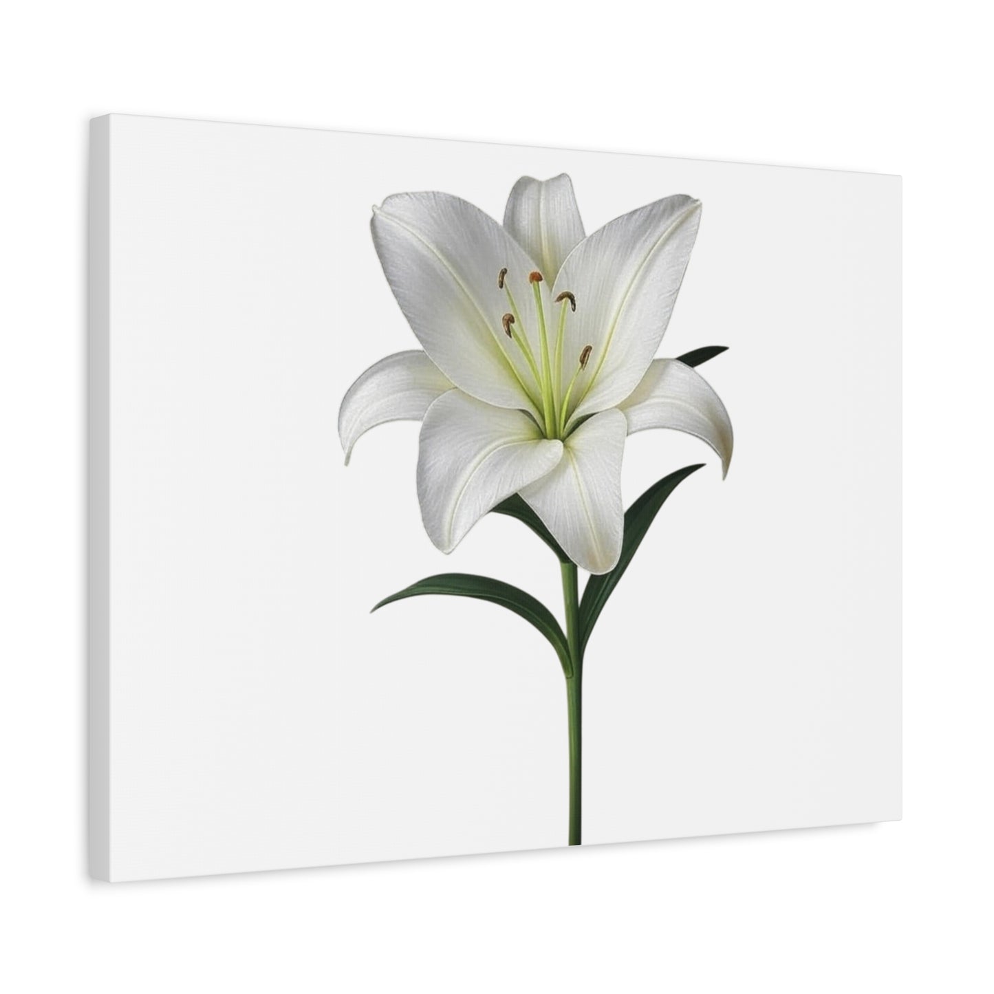 Lily Flower Canvas Wall Art