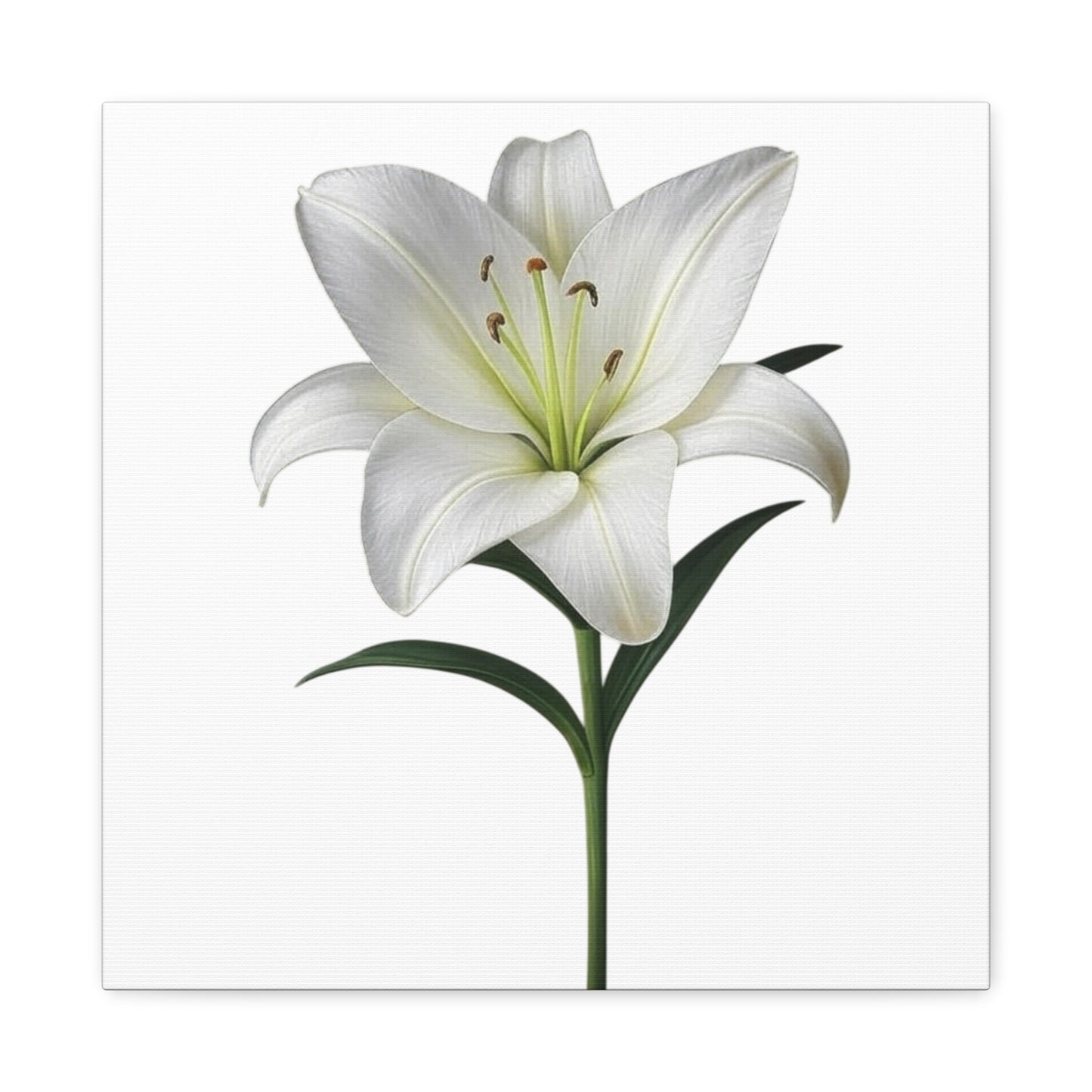 Lily Flower Canvas Wall Art