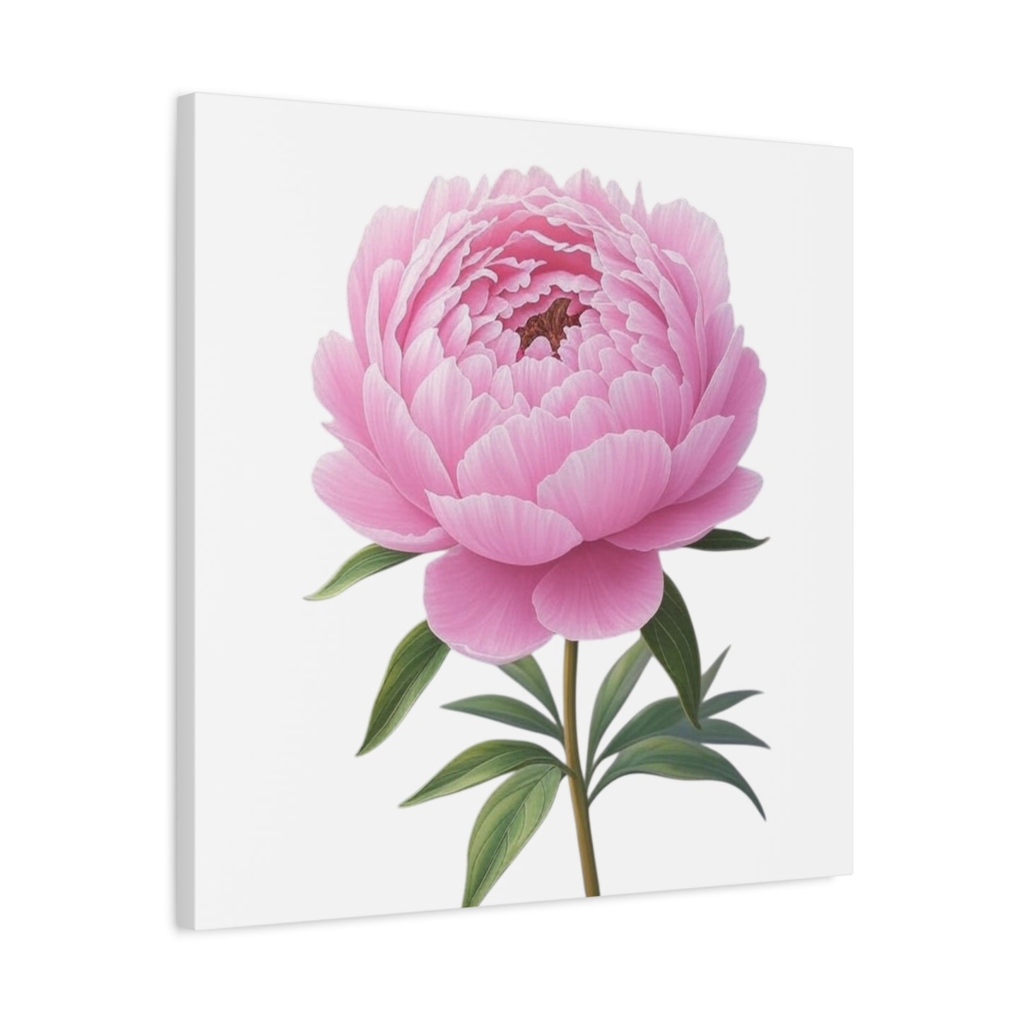 Peony Flower Canvas Wall Art