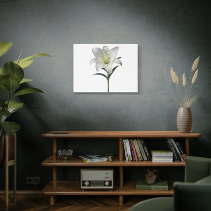Lily Flower Canvas Wall Art