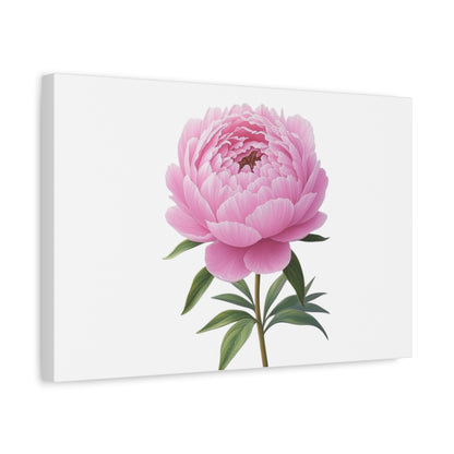 Peony Flower Canvas Wall Art