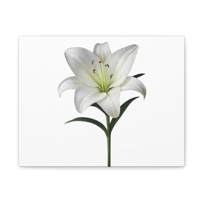 Lily Flower Canvas Wall Art