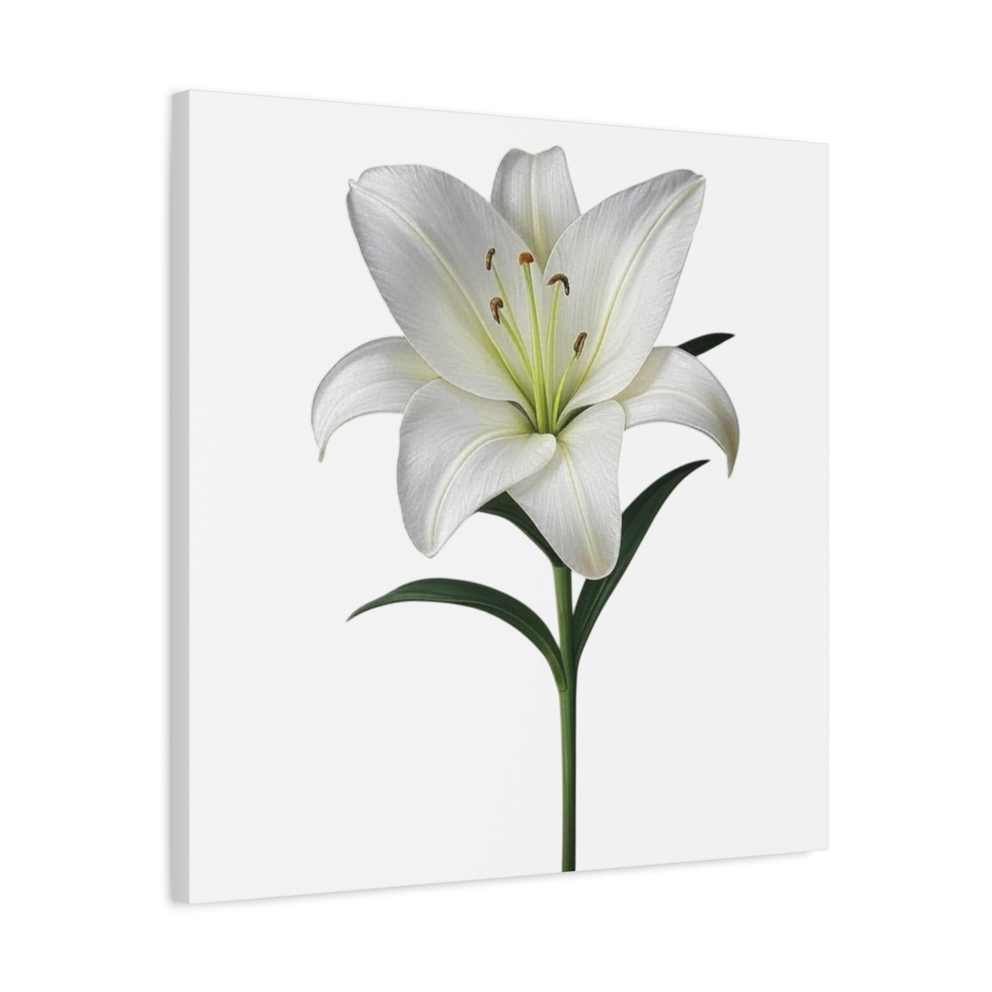 Lily Flower Canvas Wall Art
