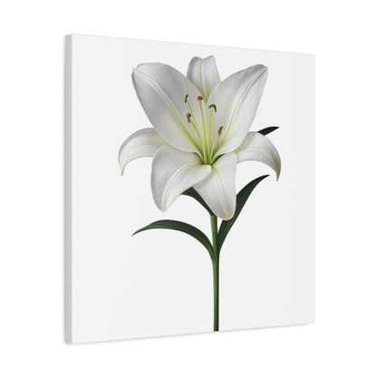 Lily Flower Canvas Wall Art