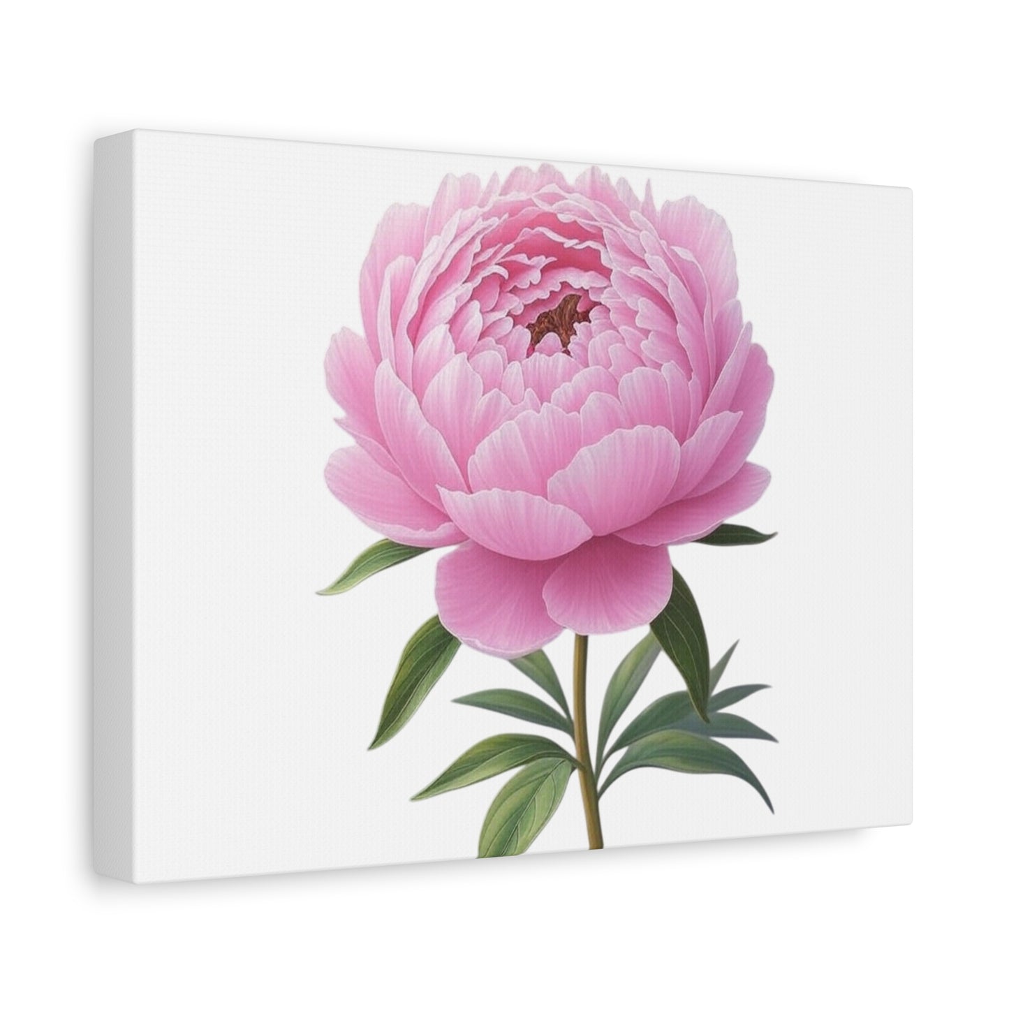Peony Flower Canvas Wall Art