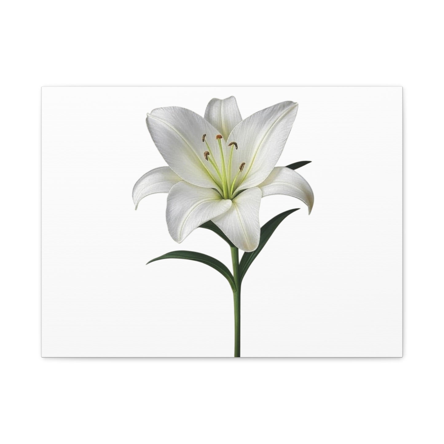 Lily Flower Canvas Wall Art