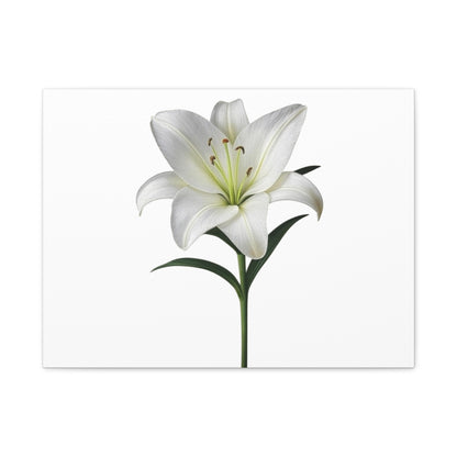 Lily Flower Canvas Wall Art
