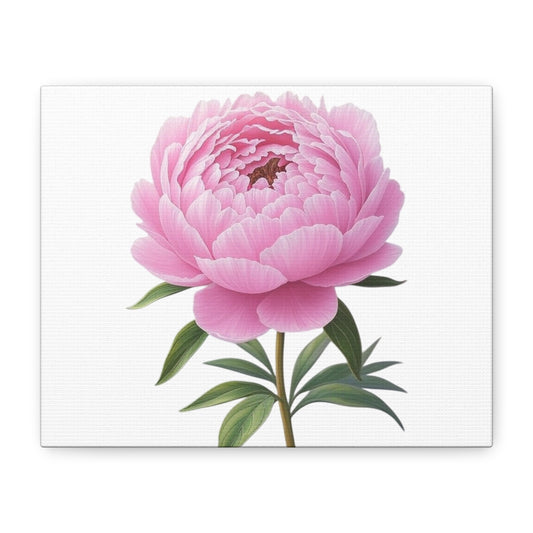 Peony Flower Canvas Wall Art
