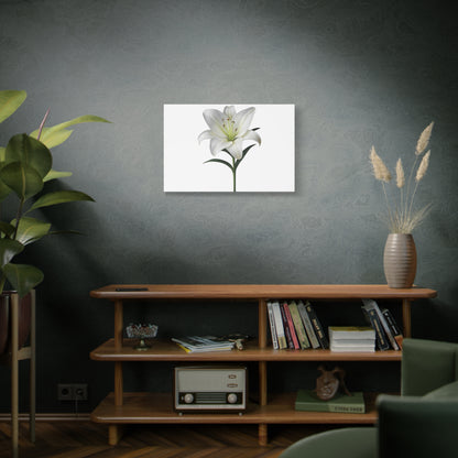 Lily Flower Canvas Wall Art