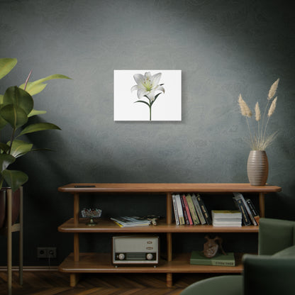 Lily Flower Canvas Wall Art
