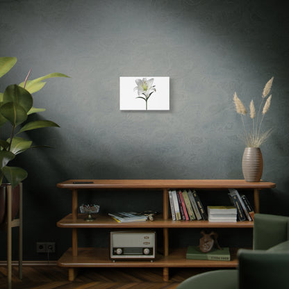 Lily Flower Canvas Wall Art