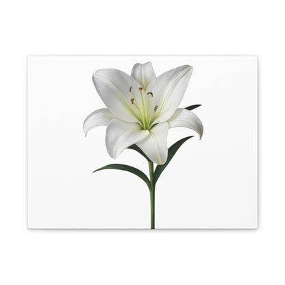 Lily Flower Canvas Wall Art