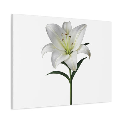 Lily Flower Canvas Wall Art