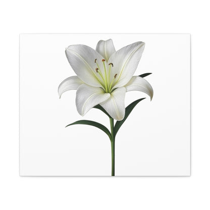 Lily Flower Canvas Wall Art