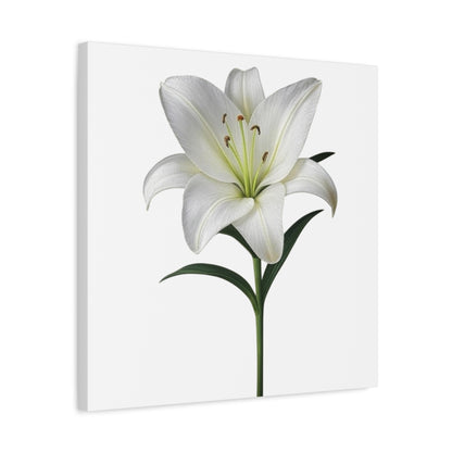 Lily Flower Canvas Wall Art