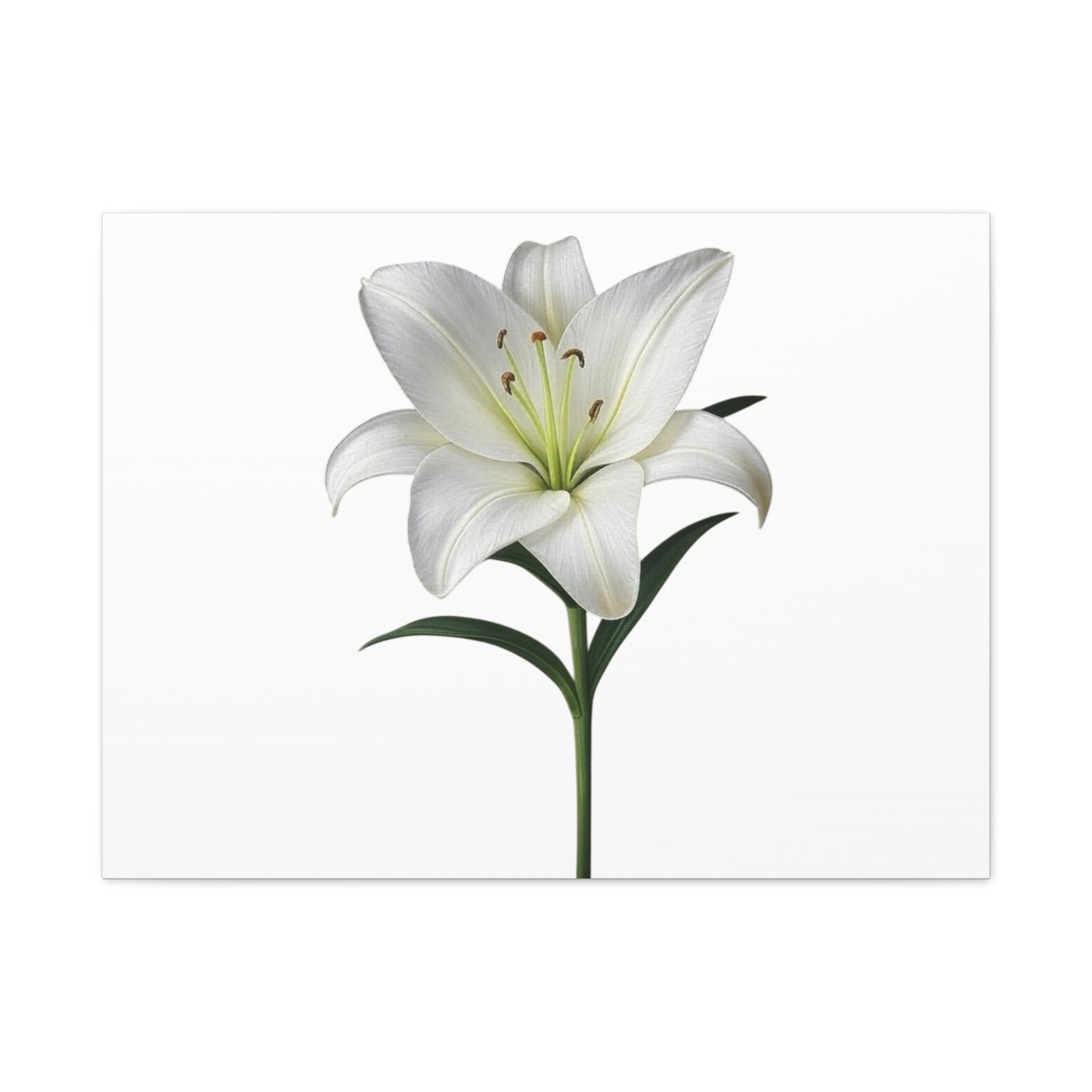Lily Flower Canvas Wall Art