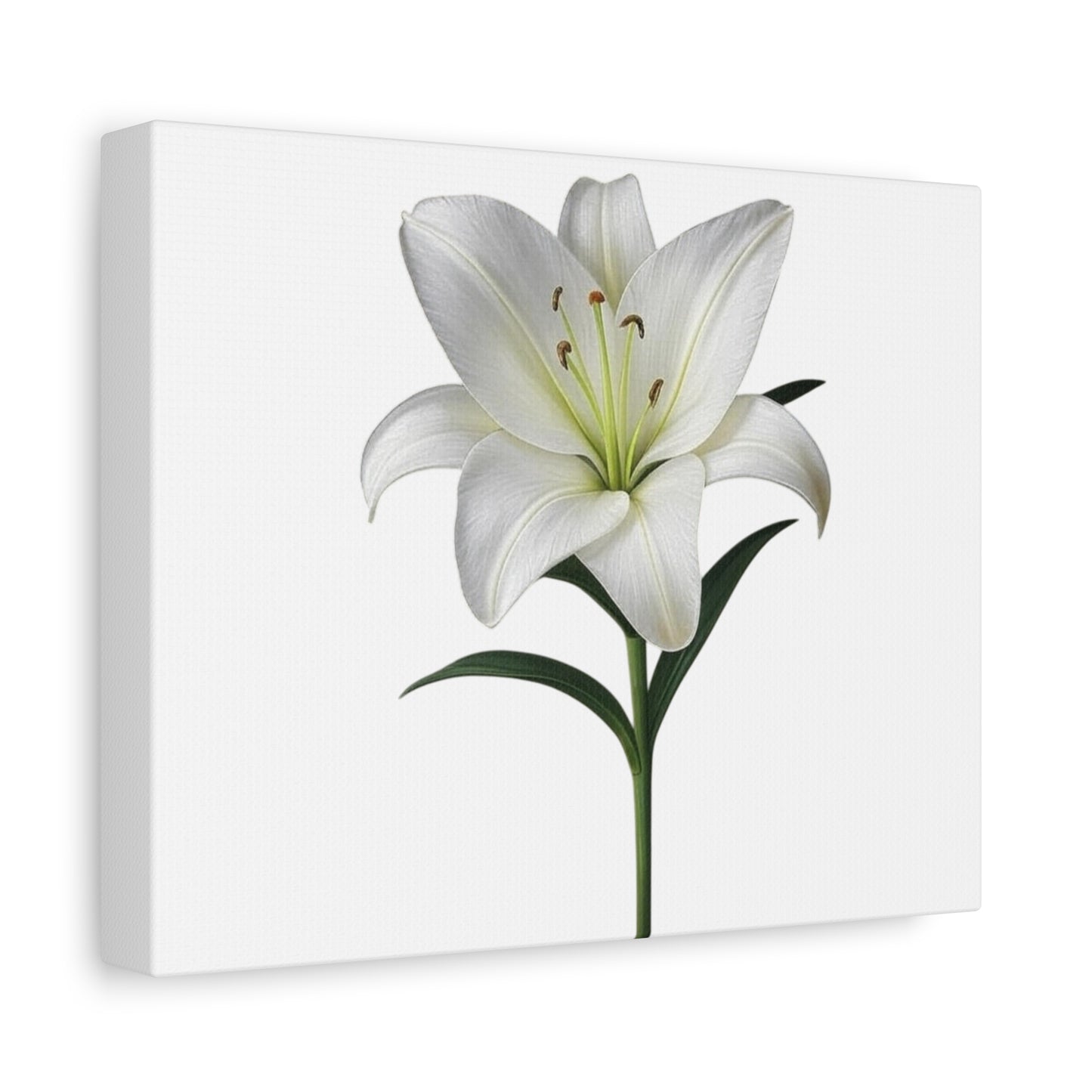 Lily Flower Canvas Wall Art