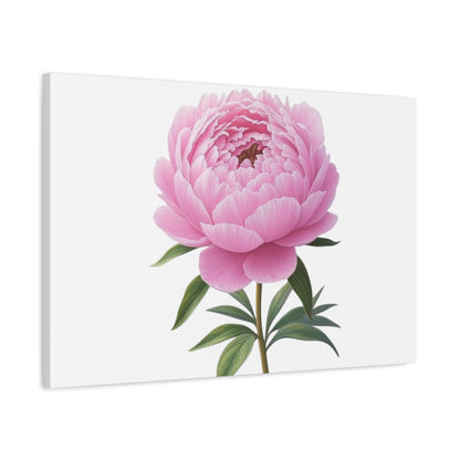 Peony Flower Canvas Wall Art
