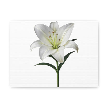 Lily Flower Canvas Wall Art