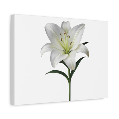 Lily Flower Canvas Wall Art