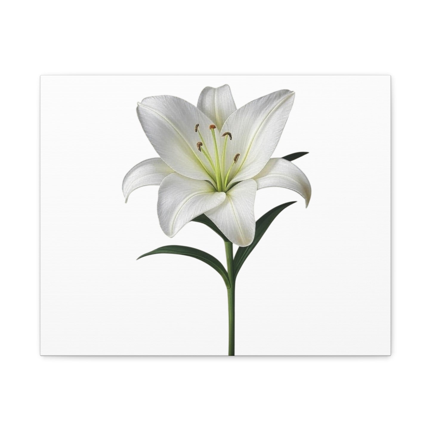 Lily Flower Canvas Wall Art