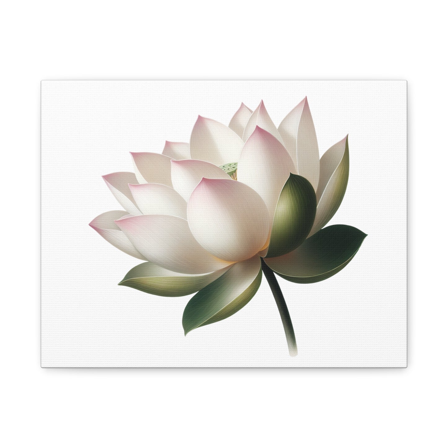 Lotus Flower Canvas Wall Art