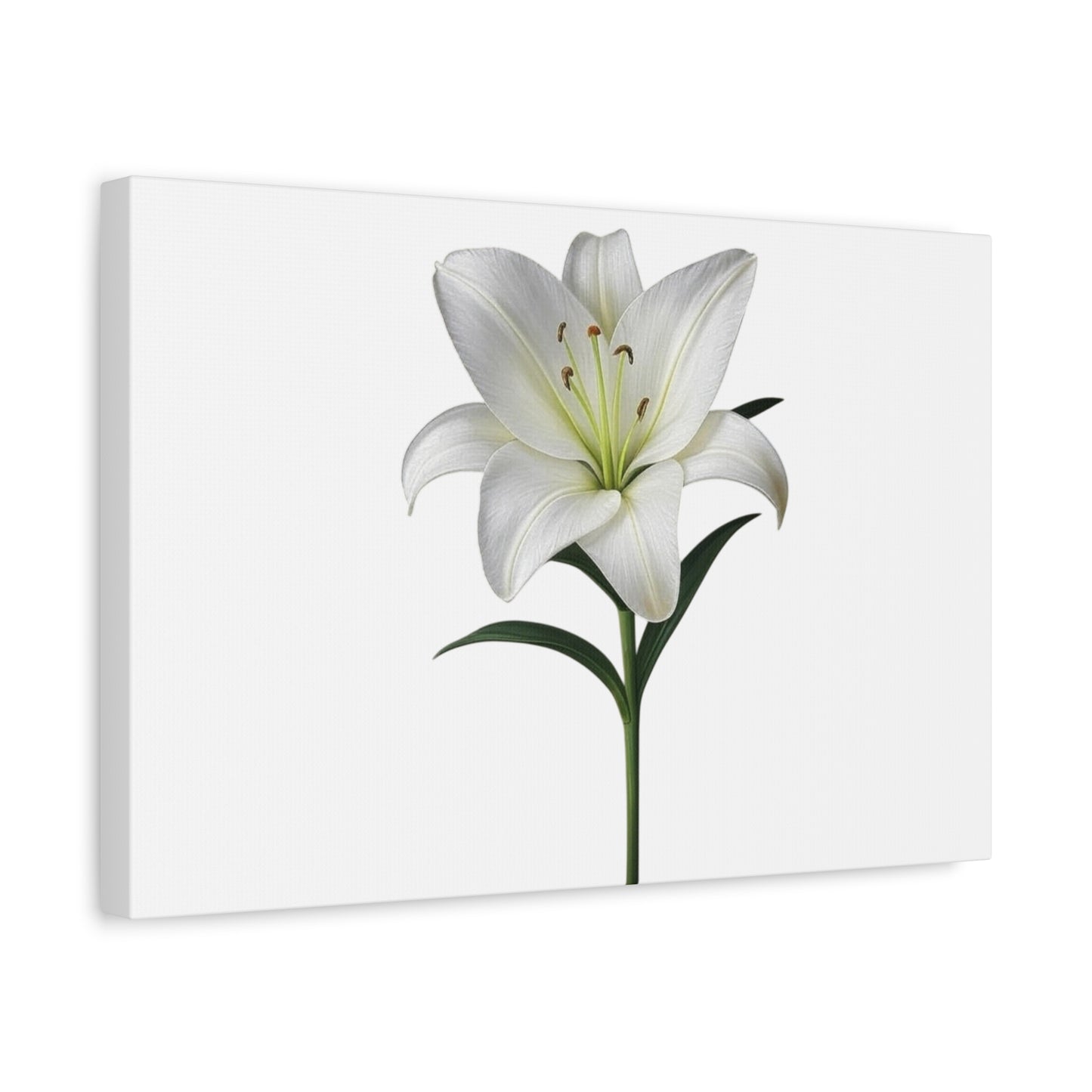 Lily Flower Canvas Wall Art