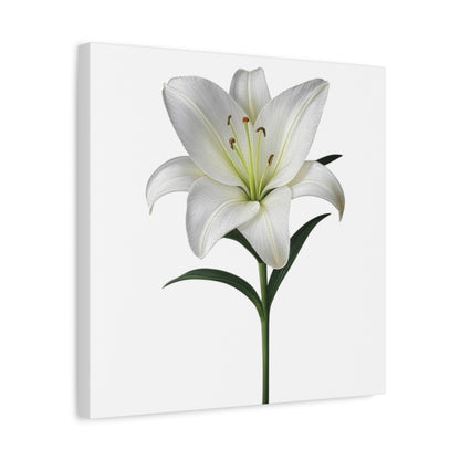 Lily Flower Canvas Wall Art