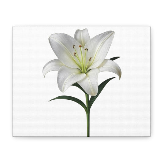 Lily Flower Canvas Wall Art