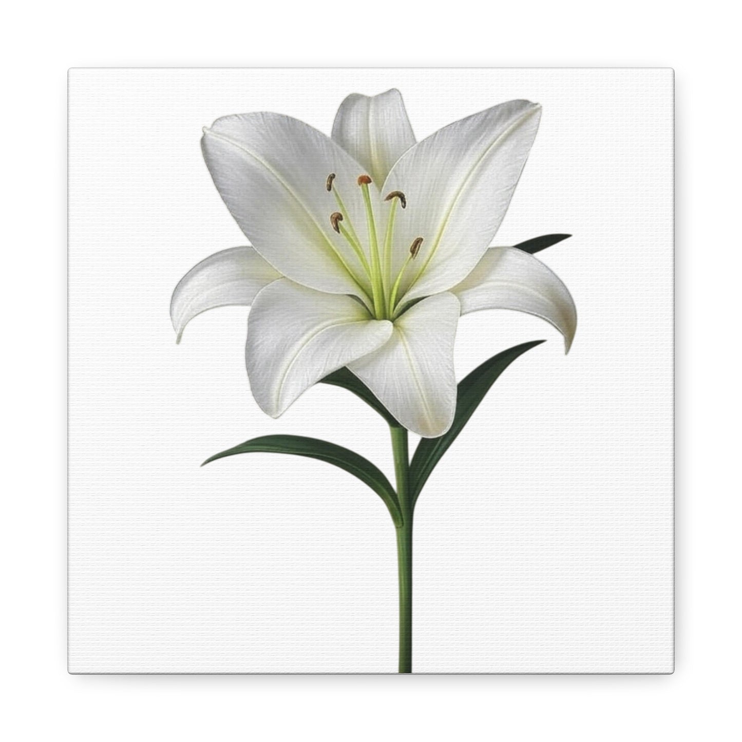 Lily Flower Canvas Wall Art